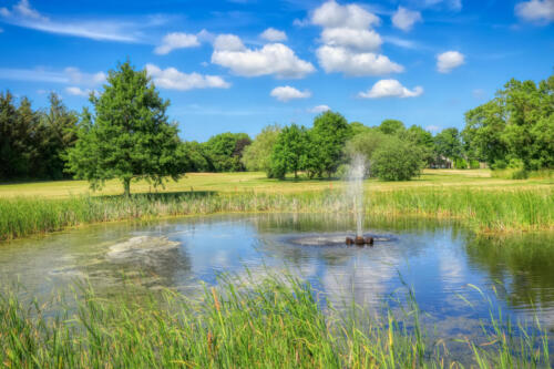 HDR IMG 1352