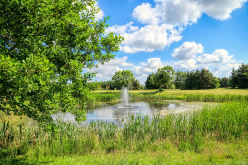 HDR IMG 1355