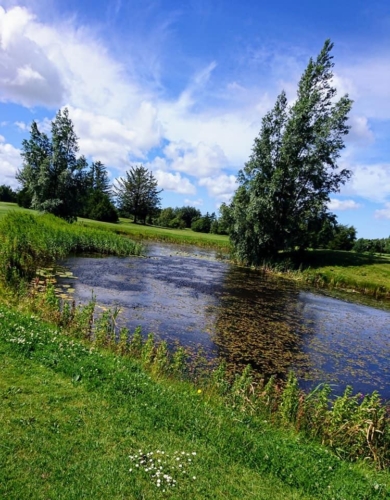 Sommer02