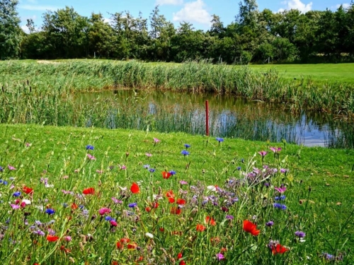 Sommer04
